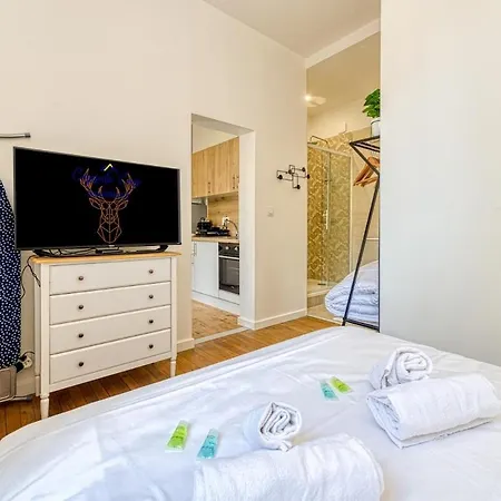 Appartement 2 Pieces Confort, Deco Moderne, Wifi Fibre Grenoble